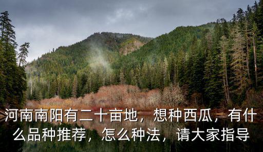 河南南陽有二十畝地，想種西瓜，有什么品種推薦，怎么種法，請大家指導