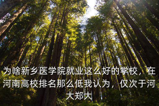 河南新鄉(xiāng)東方名城怎么樣,河南新鄉(xiāng)是個怎么樣的城市
