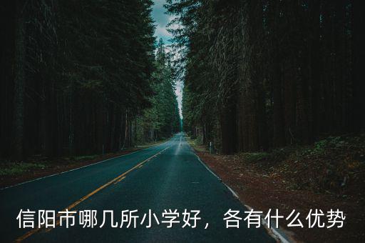 信陽市小學擇校費多少,信陽市哪幾所小學好