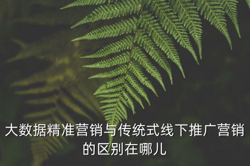 大數(shù)據(jù)精準(zhǔn)營銷與傳統(tǒng)式線下推廣營銷的區(qū)別在哪兒
