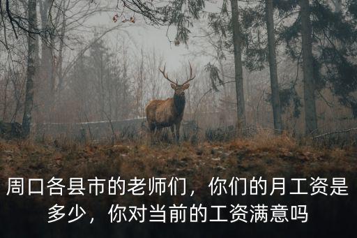 周口各縣市的老師們，你們的月工資是多少，你對當前的工資滿意嗎