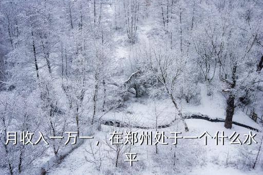 月收入一萬一，在鄭州處于一個什么水平
