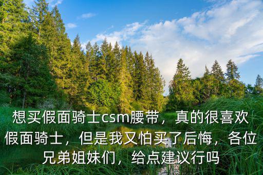 想買假面騎士csm腰帶，真的很喜歡假面騎士，但是我又怕買了后悔，各位兄弟姐妹們，給點建議行嗎