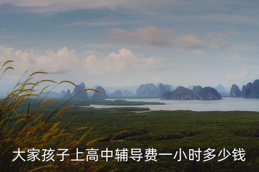 大家孩子上高中輔導費一小時多少錢