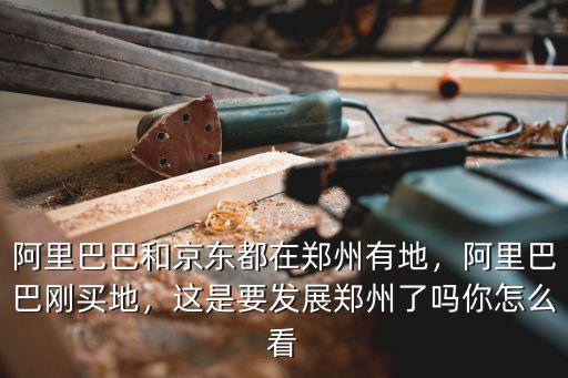 鄭州哪里有豬八戒,阿里巴巴和京東都在鄭州有地