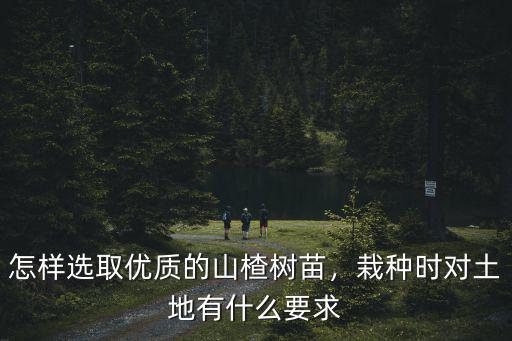 焦作哪里有山楂樹(shù)苗,山楂籽可以種出山楂樹(shù)苗嗎