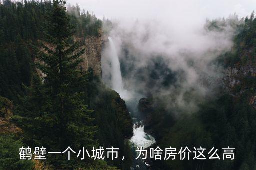 鶴壁一個小城市，為啥房價這么高