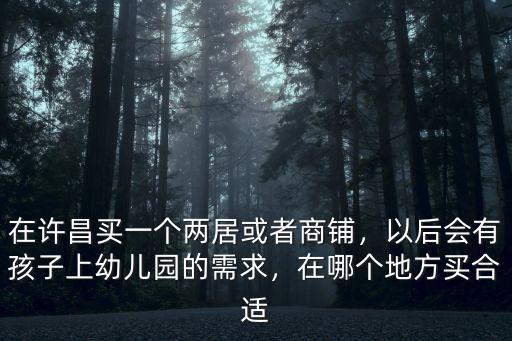 在許昌買一個兩居或者商鋪，以后會有孩子上幼兒園的需求，在哪個地方買合適