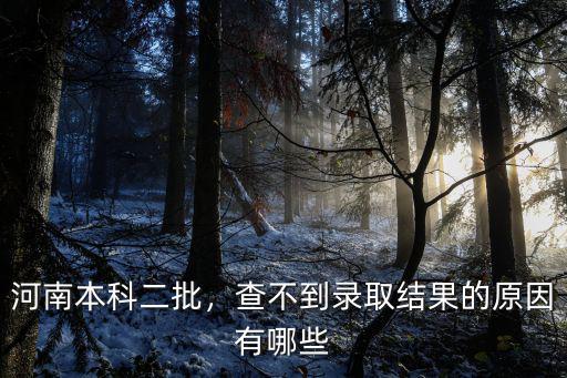 河南本科二批檔案狀態怎么查看,河南本科二批