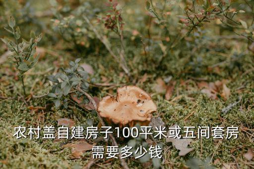 開封農(nóng)村蓋房子多少錢,現(xiàn)在農(nóng)村蓋房子