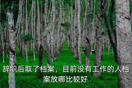 辭職后取了檔案，目前沒有工作的人檔案放哪比較好