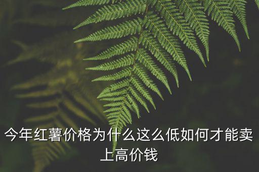 今年紅薯價(jià)格為什么這么低如何才能賣上高價(jià)錢
