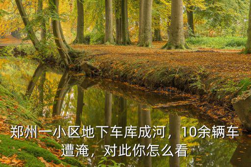 鄭州有多少地下車庫進(jìn)水了,鄭州一小區(qū)地下車庫成河