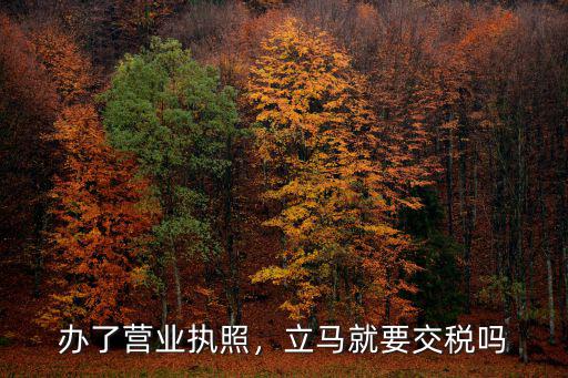 濮陽縣辦營業執照怎么還要交稅,辦了營業執照
