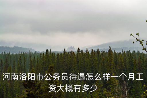 河南洛陽市公務(wù)員待遇怎么樣一個月工資大概有多少