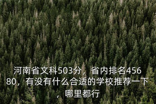 河南文科483分排名多少,河南省文科503分