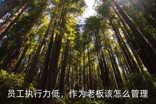 員工執行力低，作為老板該怎么管理