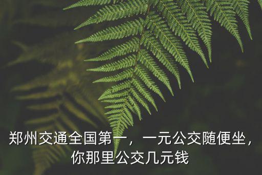 在鄭州坐公交怎么用手機付費,坐公交車怎么用手機支付