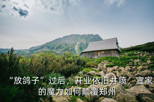 “放鴿子”過后，開業(yè)依舊井噴，宜家的魔力如何顛覆鄭州
