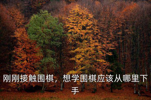 剛剛接觸圍棋，想學(xué)圍棋應(yīng)該從哪里下手