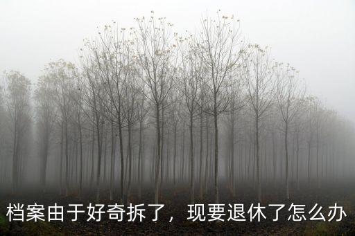 退休檔案開封怎么辦,現要退休了怎么辦