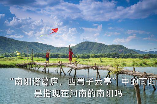 “南陽(yáng)諸葛廬，西蜀子云亭”中的南陽(yáng)是指現(xiàn)在河南的南陽(yáng)嗎