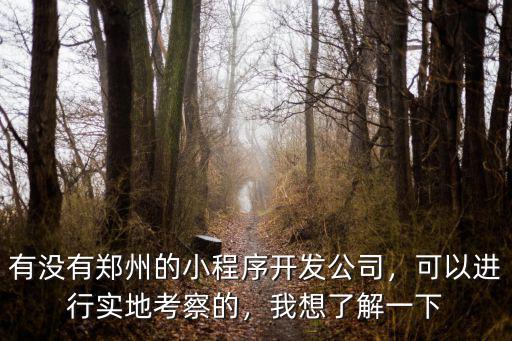 鄭州小程序公司怎么樣,有沒有鄭州的小程序開發(fā)公司