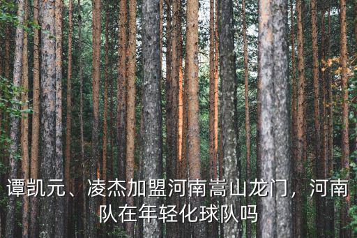 河南嵩山龍門隊有多少外援,山東泰山VS河南嵩山龍門