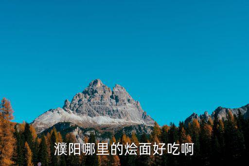 濮陽哪里的燴面好吃啊