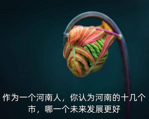 河南哪里比較發達市,你認為河南的十幾個市