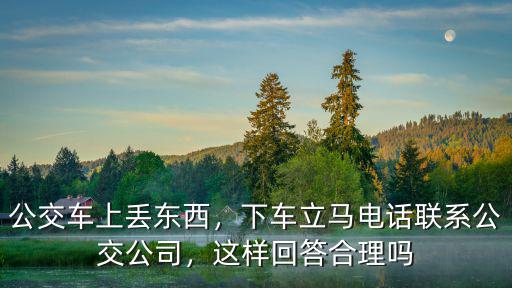 公交車上丟東西，下車立馬電話聯(lián)系公交公司，這樣回答合理嗎