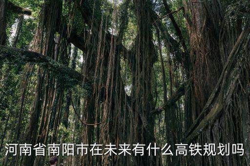 南陽新建的高鐵站在哪里,為什么南陽的高鐵站3臺7線