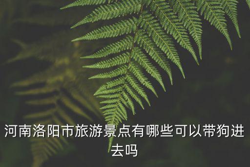 河南洛陽(yáng)市嵩縣哪里可以領(lǐng)養(yǎng)貓,哪里有領(lǐng)養(yǎng)貓咪的啊