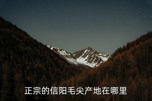 正宗的信陽(yáng)毛尖產(chǎn)地在哪里