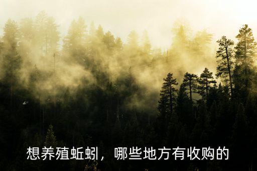 洛陽哪里有養(yǎng)蚯蚓的地方,哪些地方有收購的