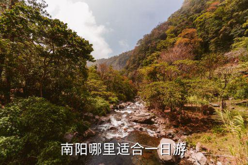 南陽哪里適合一日游