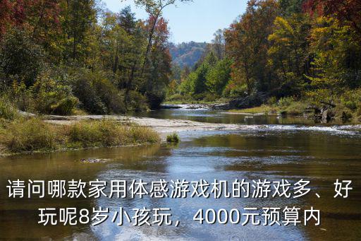 請問哪款家用體感游戲機的游戲多、好玩呢8歲小孩玩，4000元預算內