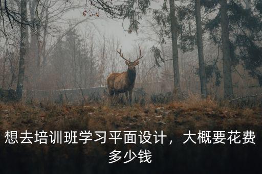 鄭州市平面設(shè)計培訓(xùn)費用大概是多少,大概要花費多少錢