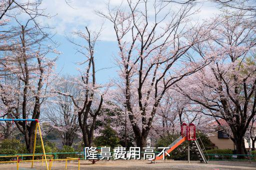 河南假體隆鼻價格費用多少案例,假體隆鼻安全嗎