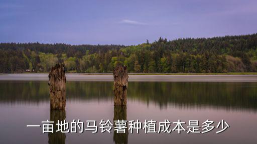 河南種一畝地的成本有多少,一畝地純收入能有多少