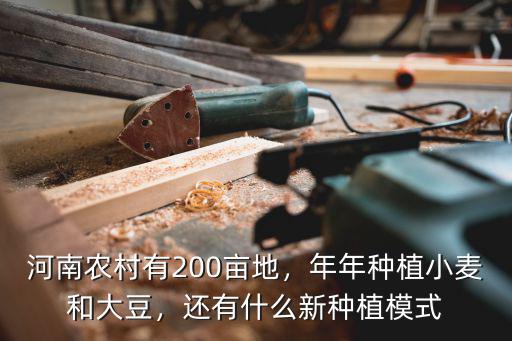 河南農(nóng)村有200畝地，年年種植小麥和大豆，還有什么新種植模式