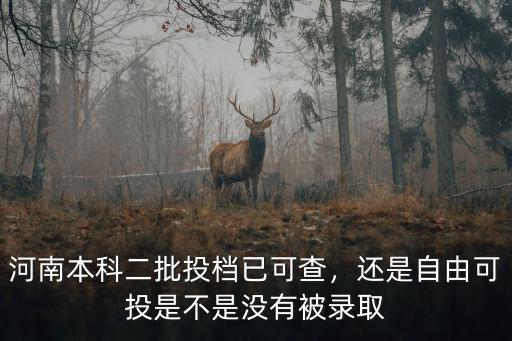 河南二本志愿者投檔多少,大概考多少分能上二本
