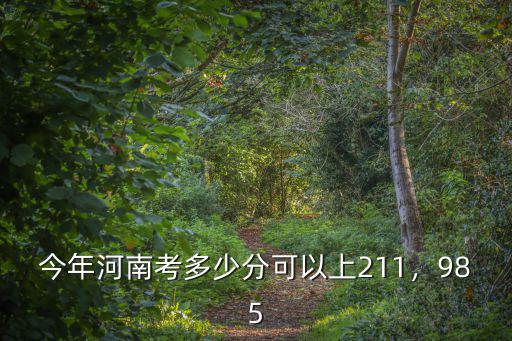 今年河南考多少分可以上211，985