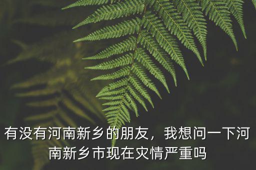 有沒有河南新鄉的朋友，我想問一下河南新鄉市現在災情嚴重嗎