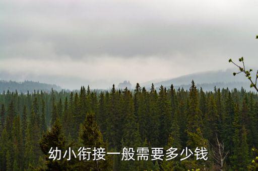 幼小銜接一般需要多少錢
