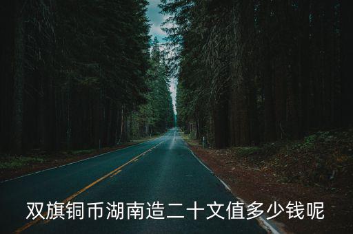 河南造雙旗幣二十文值多少錢,河南制造雙旗幣值多少錢