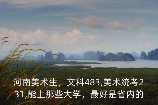 河南美術生，文科483,美術統考231,能上那些大學，最好是省內的