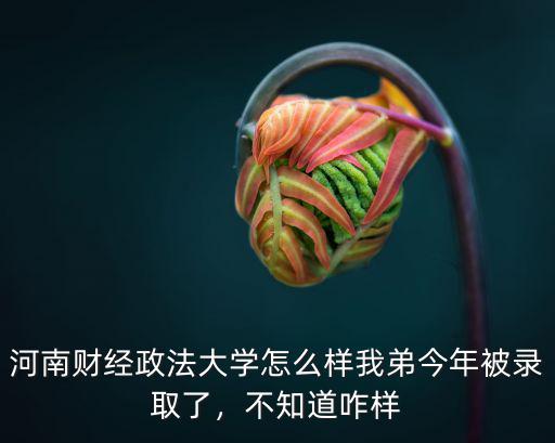 河南財經政法大學怎么樣我弟今年被錄取了，不知道咋樣