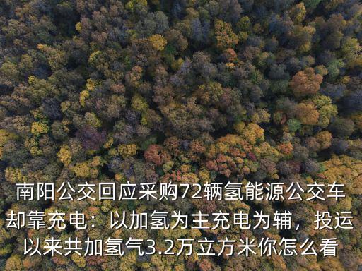 南陽公交怎么沒了,為什么南陽沒有地鐵