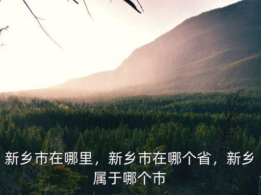 新鄉市糧倉在哪里,新鄉市在哪里